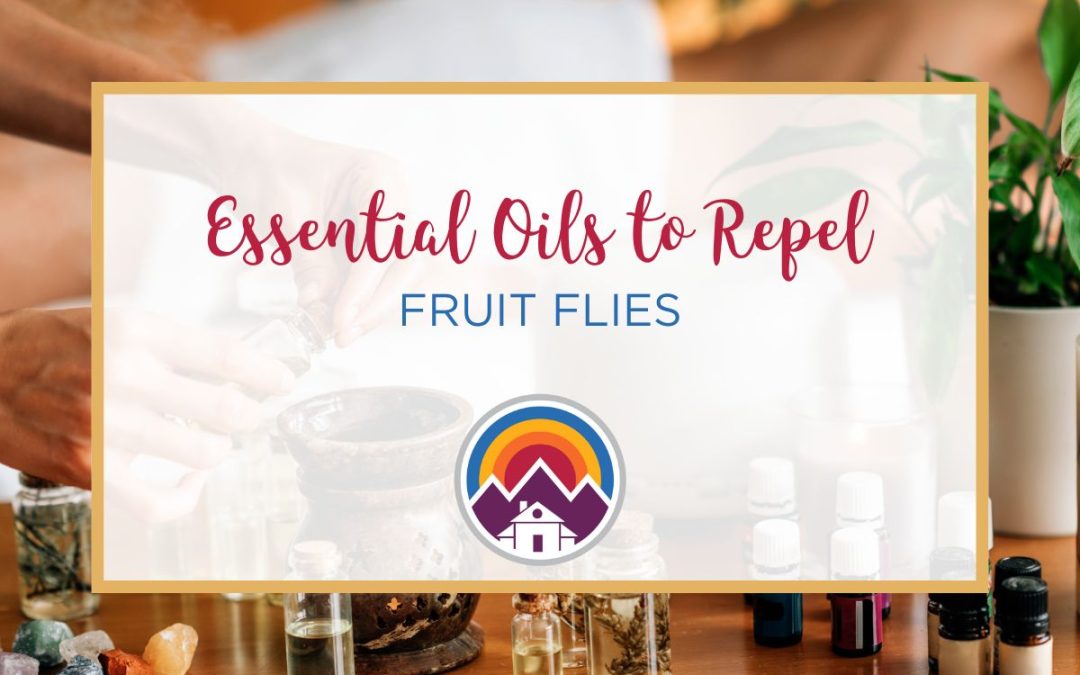 Top 15 Essential Oils to Repel Fruit Flies