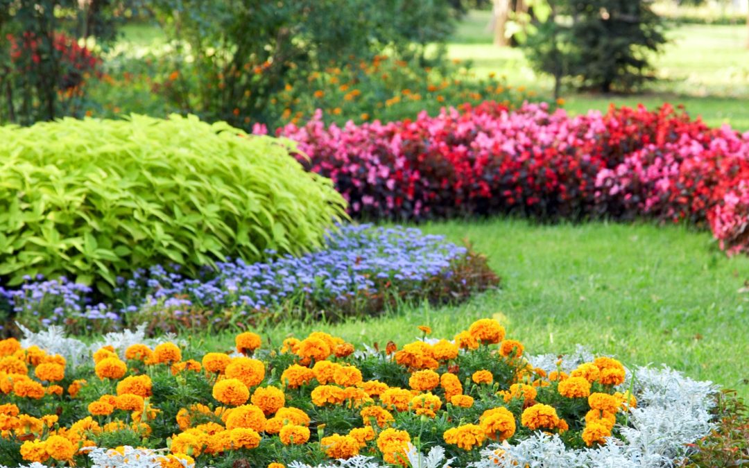 41 Simple Landscaping Ideas Around Septic Tank