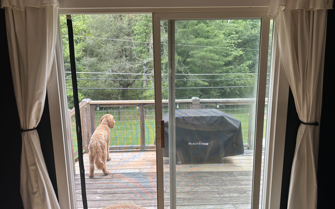 The Best Magnetic Screen Door for Dogs and Kids