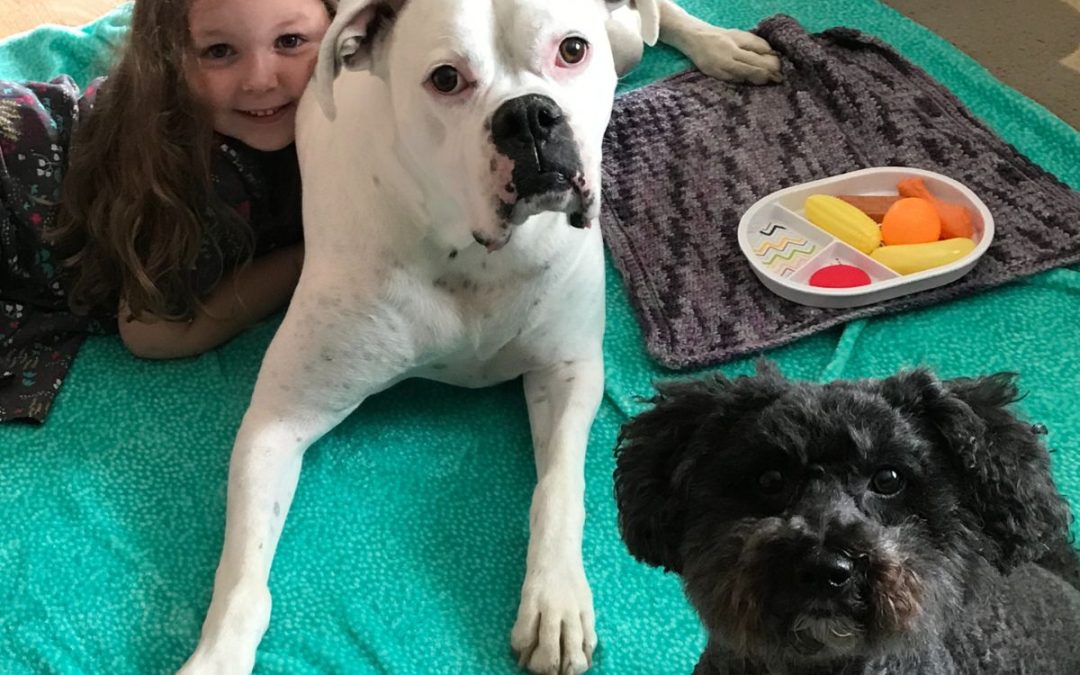 Emergency Prepping for Kids and Pets | Free Checklist